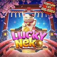 neko BORNEO303